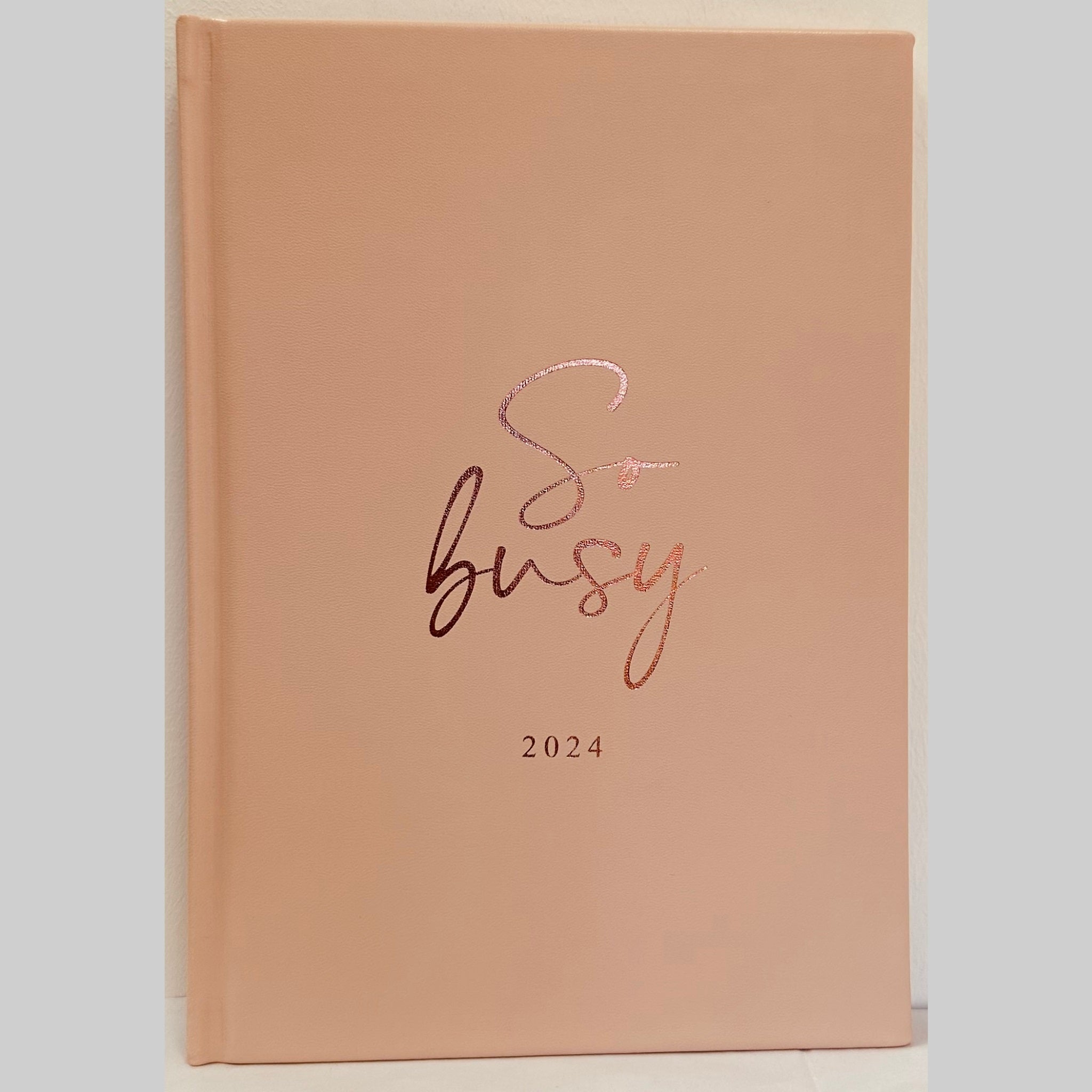 Beclen Harp 2024 A5 Size Week To View/WTV & Day A Page/ DAP Personal Luxury Effect Diary