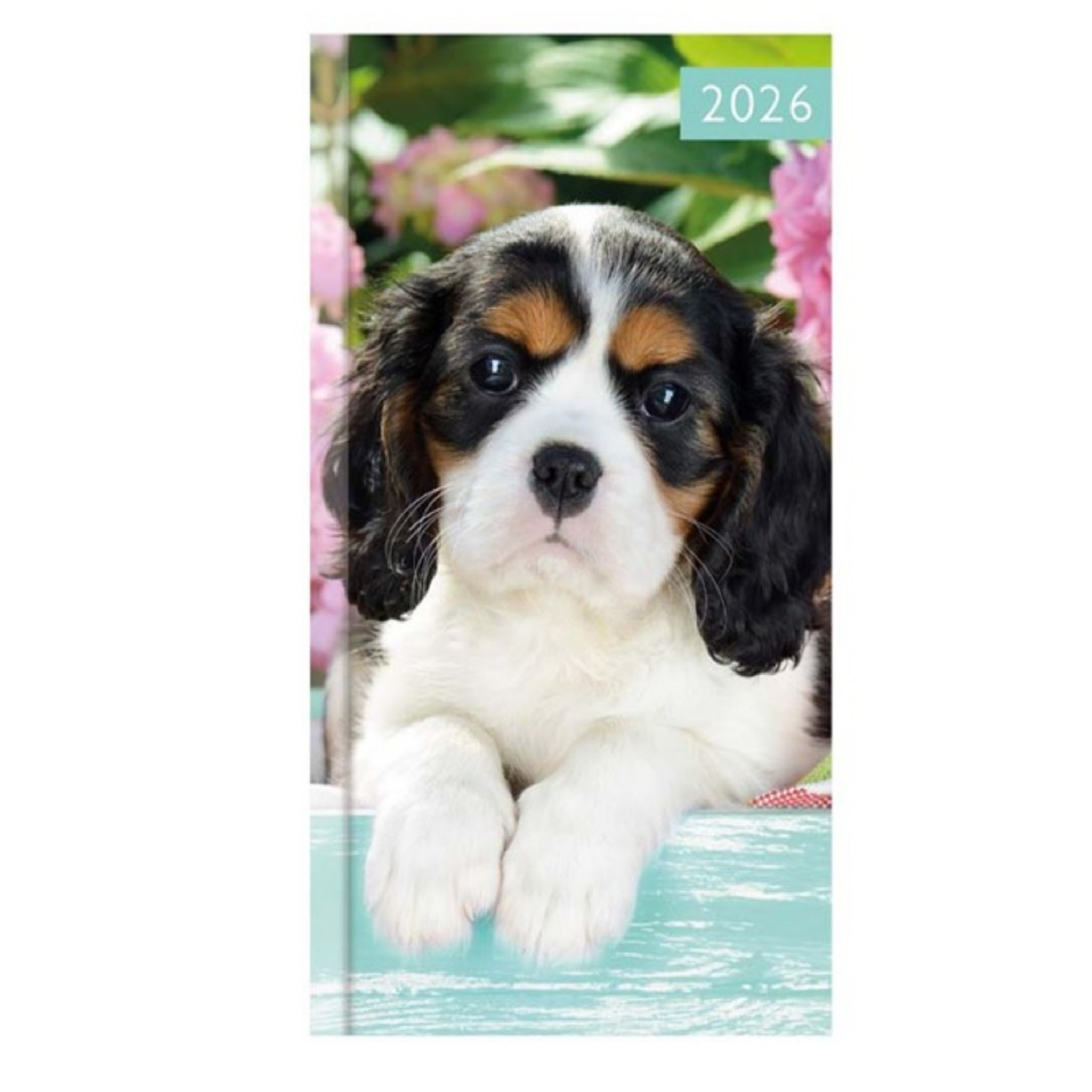 Beclen Harp 2026 SLIM Week to view Cute Cat / Dog Pet Theme Office Home School Desktop Diary Desktop School Note Date Full Year - Xmas gift
